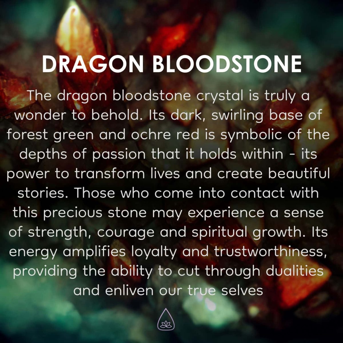 dragon bloodstone gem by asana crystal shop natural dragon bloodstone real gems