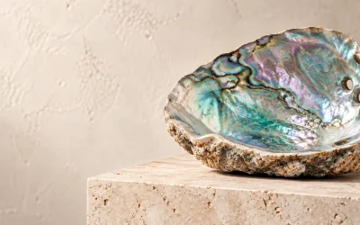 Blog 16 Abalone Meaning: Spiritual Properties