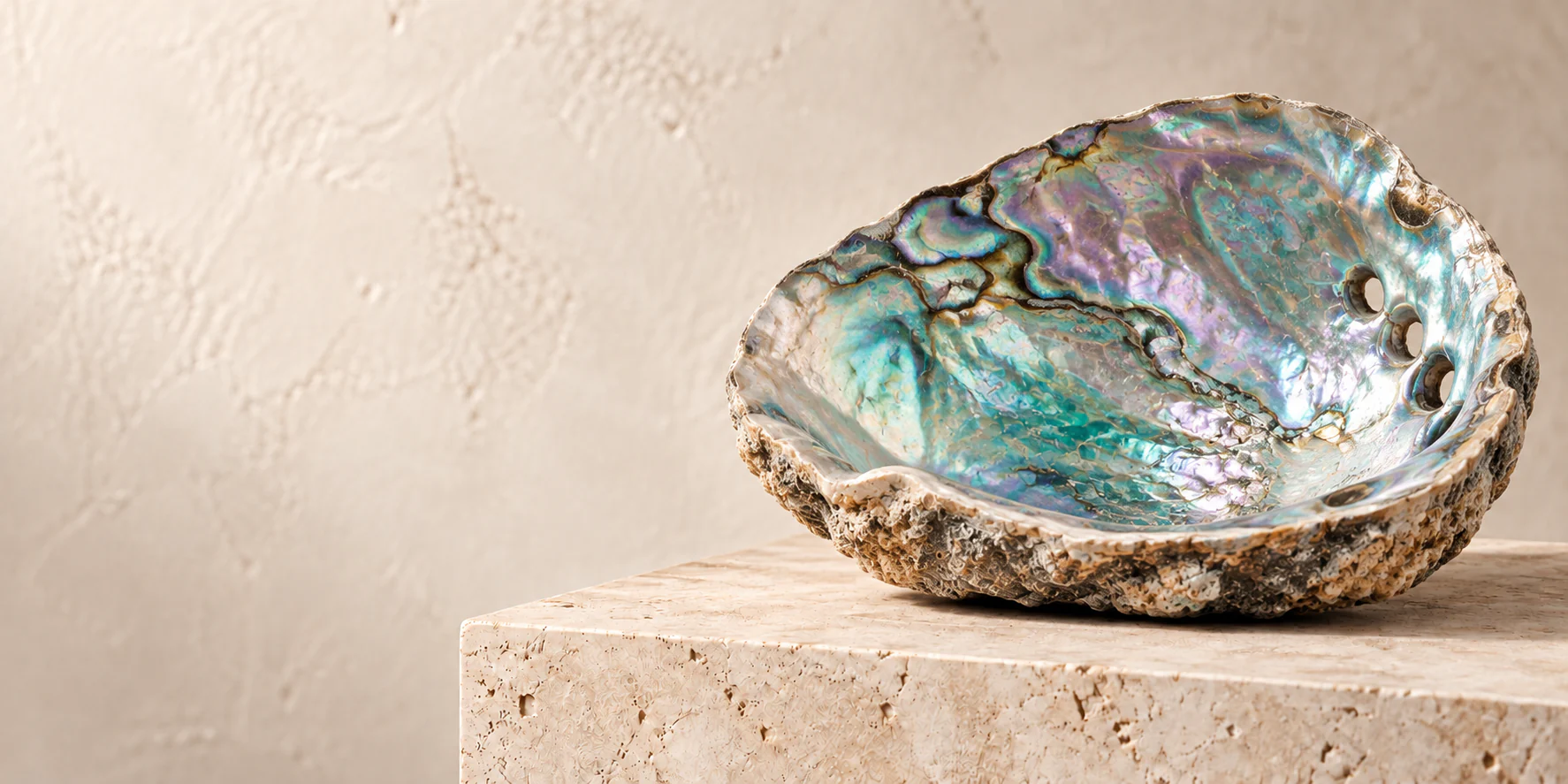 Abalone Meaning: Spiritual Properties