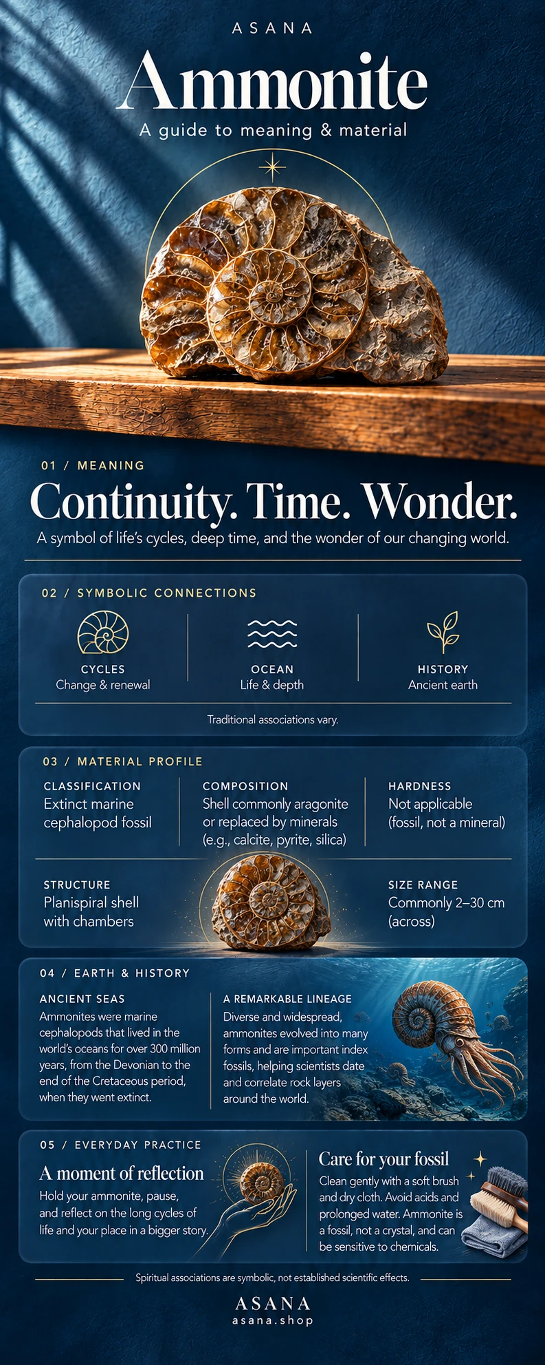 Ammonite crystal meaning and properties guide with gemstone illustration, mineral information and traditional symbolism.