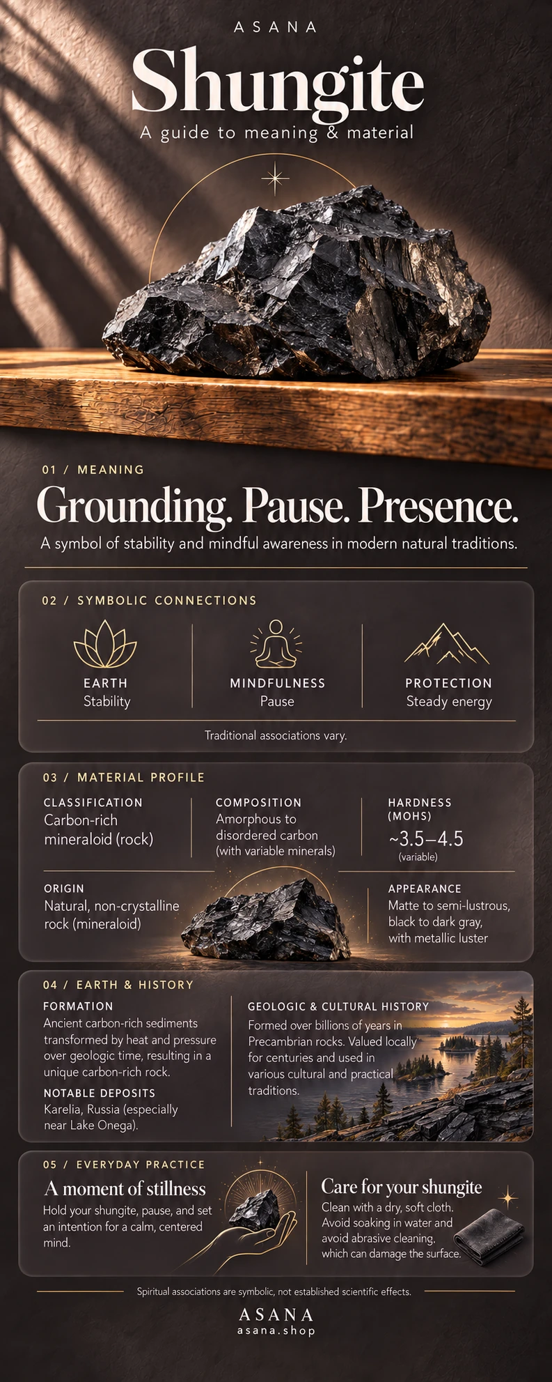 Shungite crystal meaning and properties guide with gemstone illustration, mineral information and traditional symbolism.