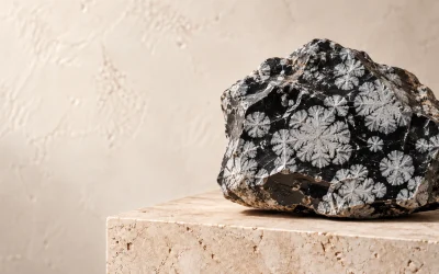 Snowflake Obsidian Properties